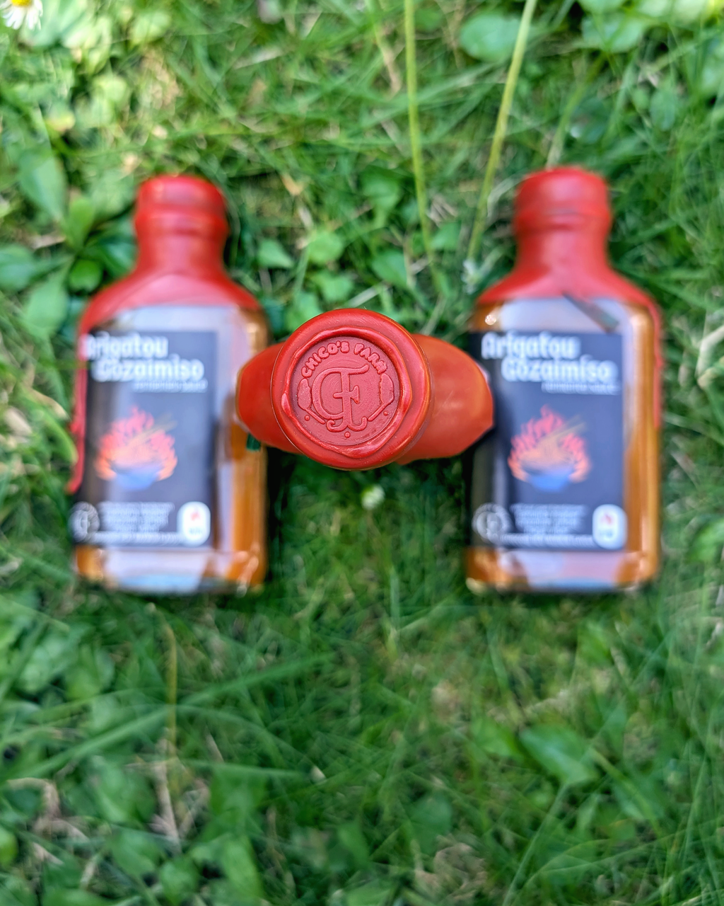 Chico’s Farm Arigato Gozaimiso – wax-sealed fermented miso and lime hot sauce bottle with stamp on grass