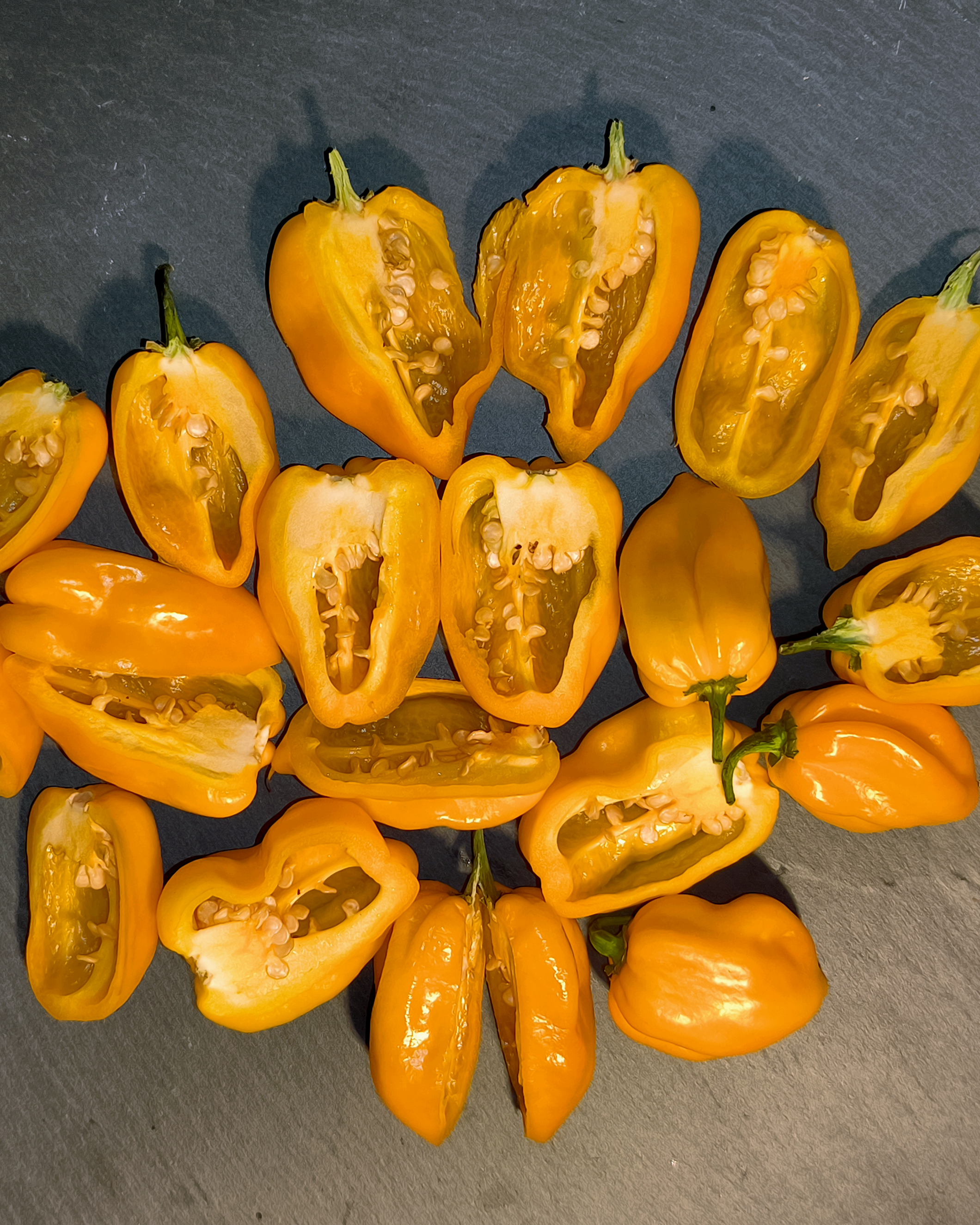 Big Sun Habanero peppers cut open – seed pods showing interior structure