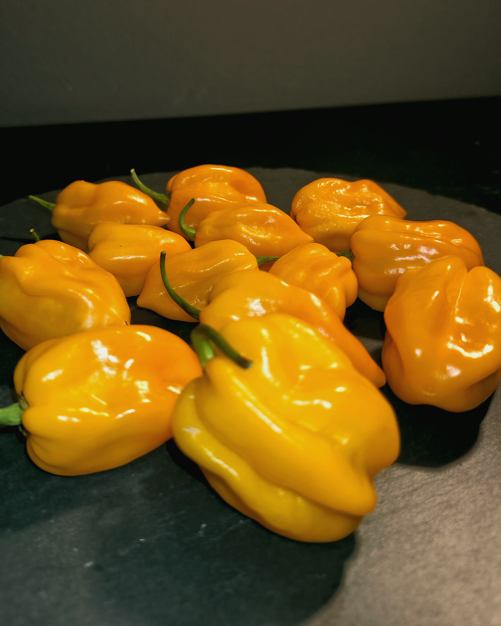 Fresh Big Sun Habanero peppers harvested – bright yellow hot chili variety