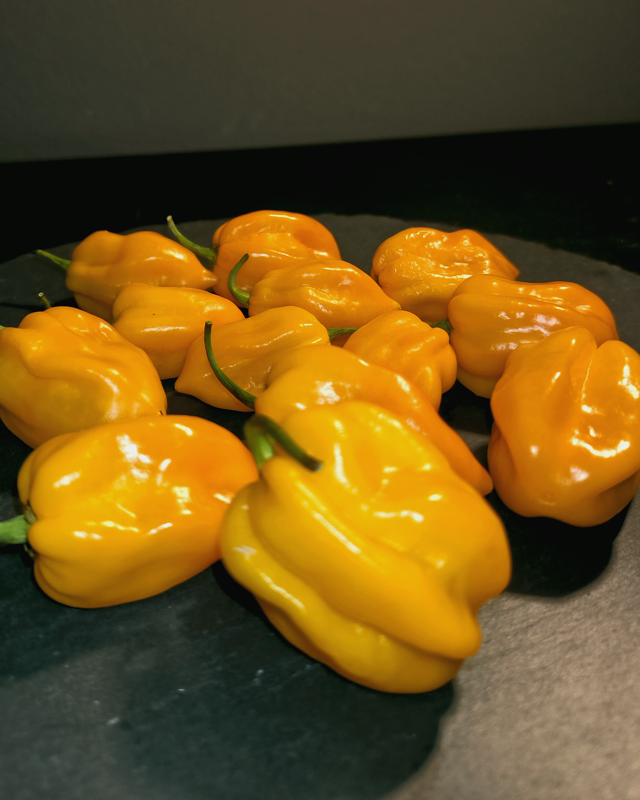 Fresh Big Sun Habanero peppers harvested – bright yellow hot chili variety