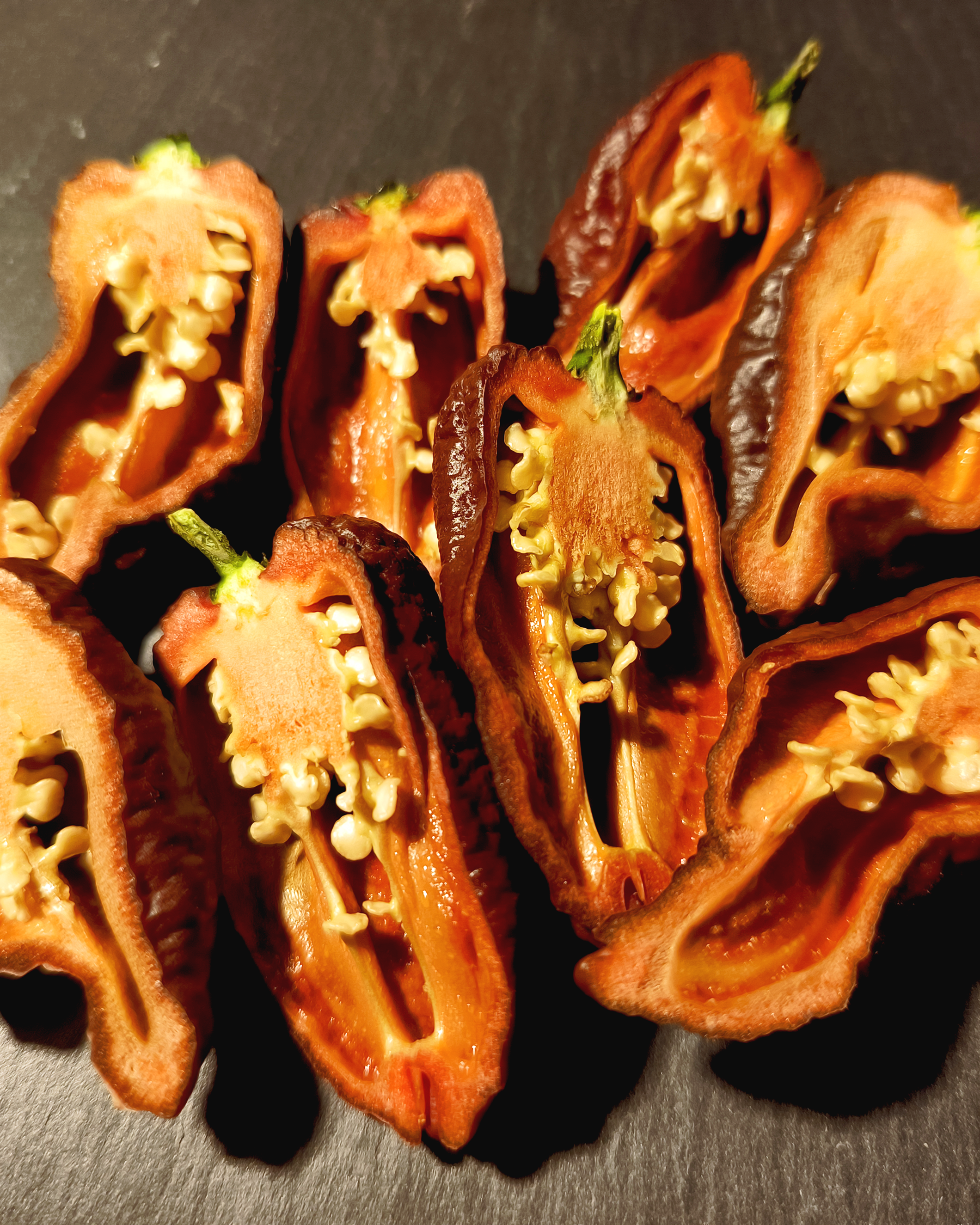 Freshly sliced Chocolate Bhutlah superhot chili peppers