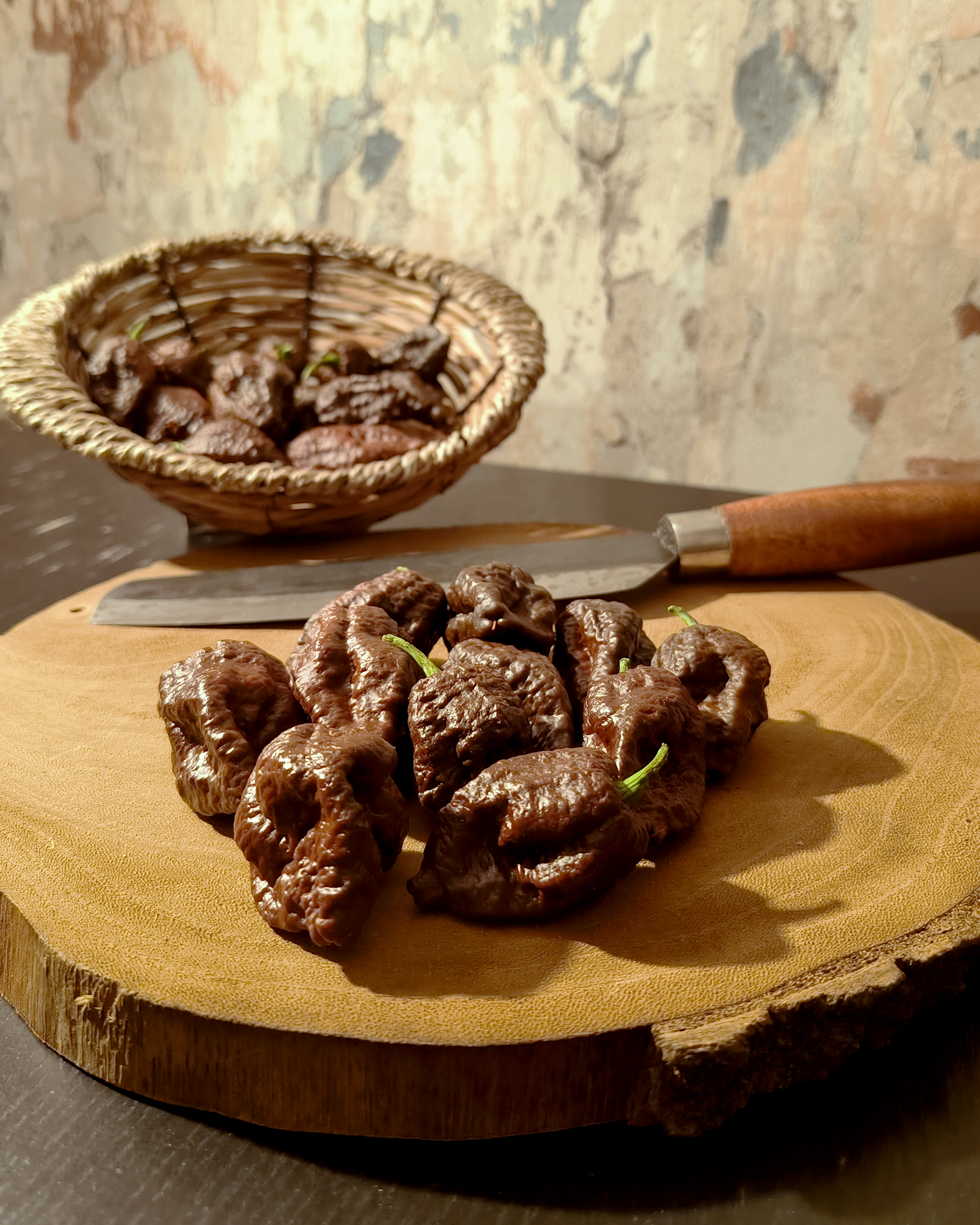 Chocolate Bhutlah chili pods showing wrinkled superhot texture