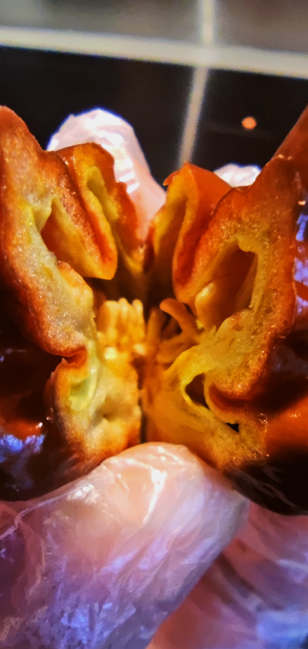 Freshly sliced Chocolate Carolina Reaper showing seeds and interior