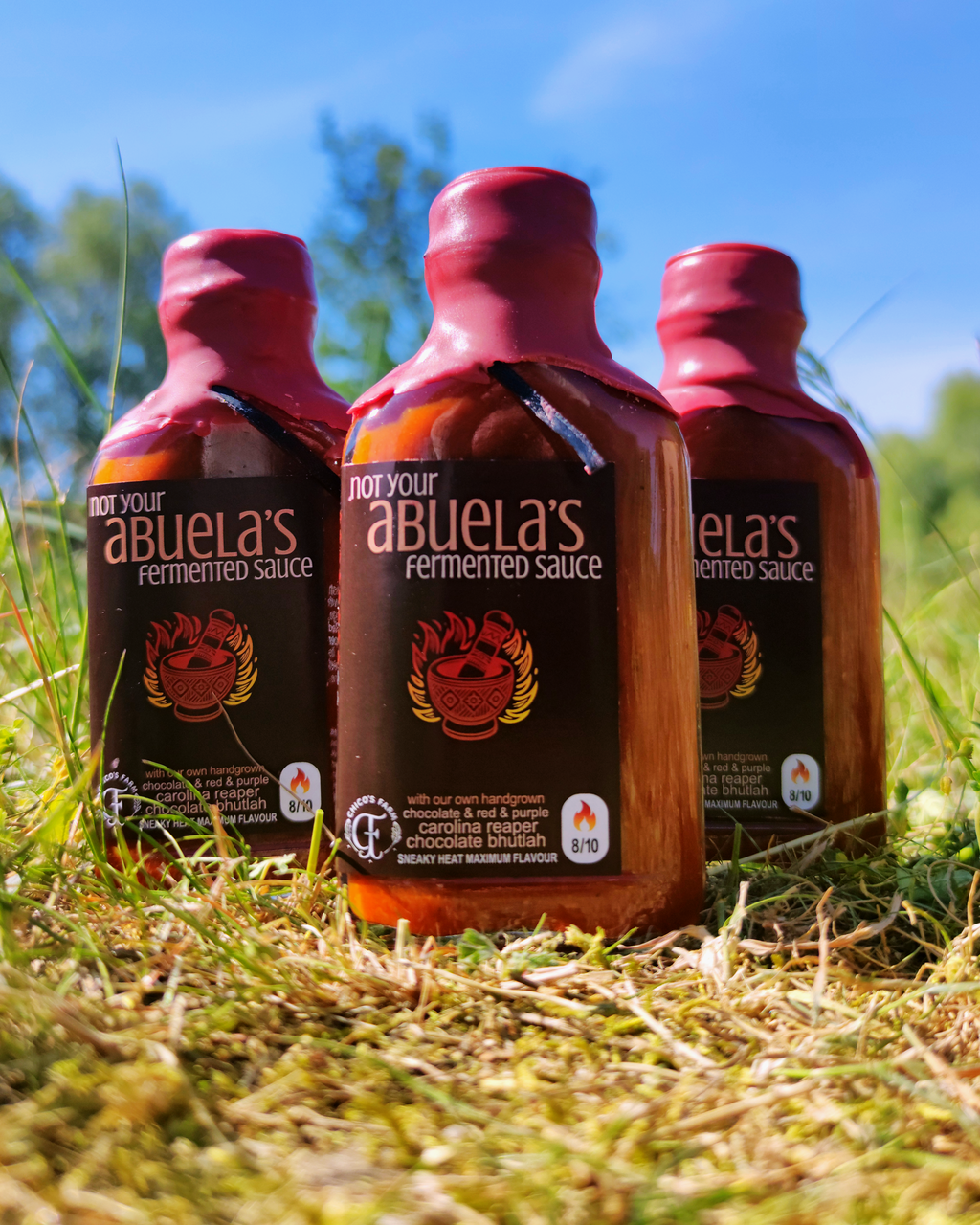 Not Your Abuela’s Hot – three fermented Tex-Mex hot sauce bottles by Chico’s Farm Berlin