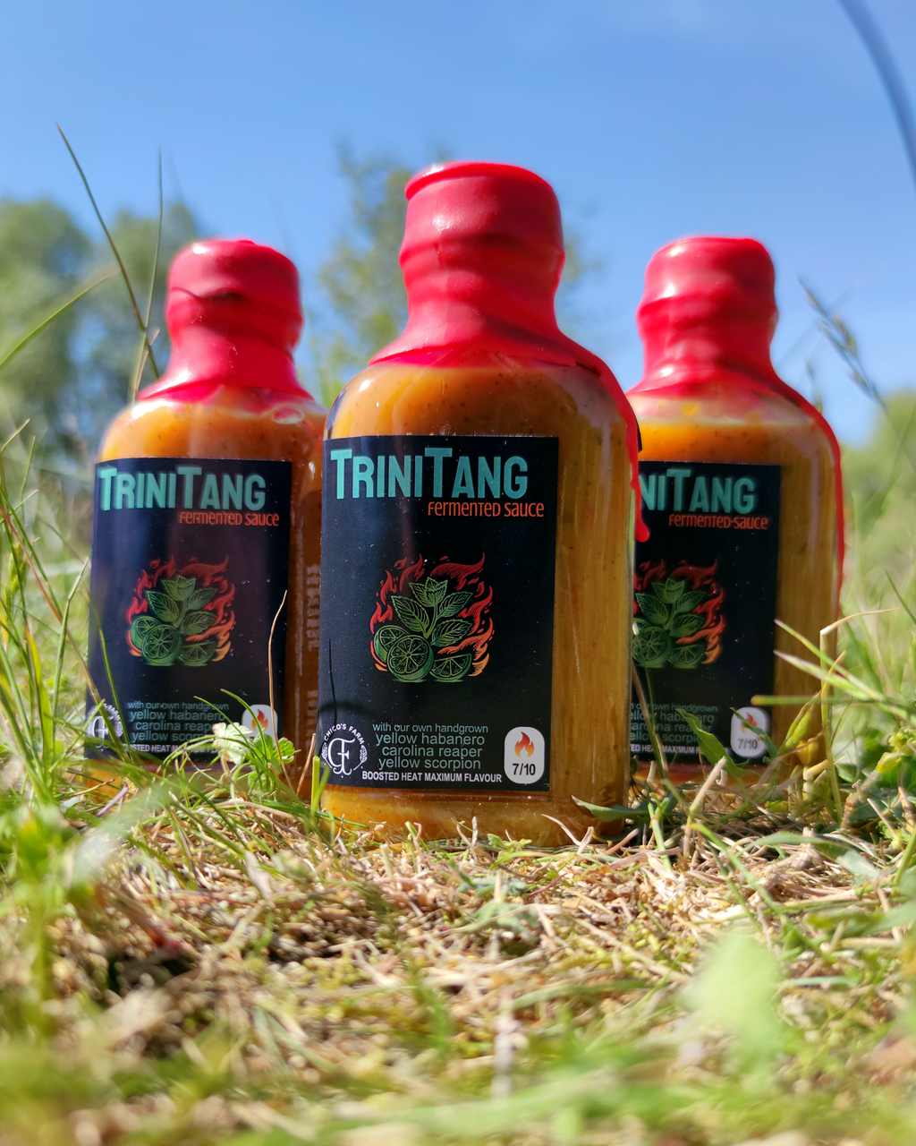 TriniTang Hot – three fermented citrus and herb hot sauce bottles by Chico’s Farm Berlin
