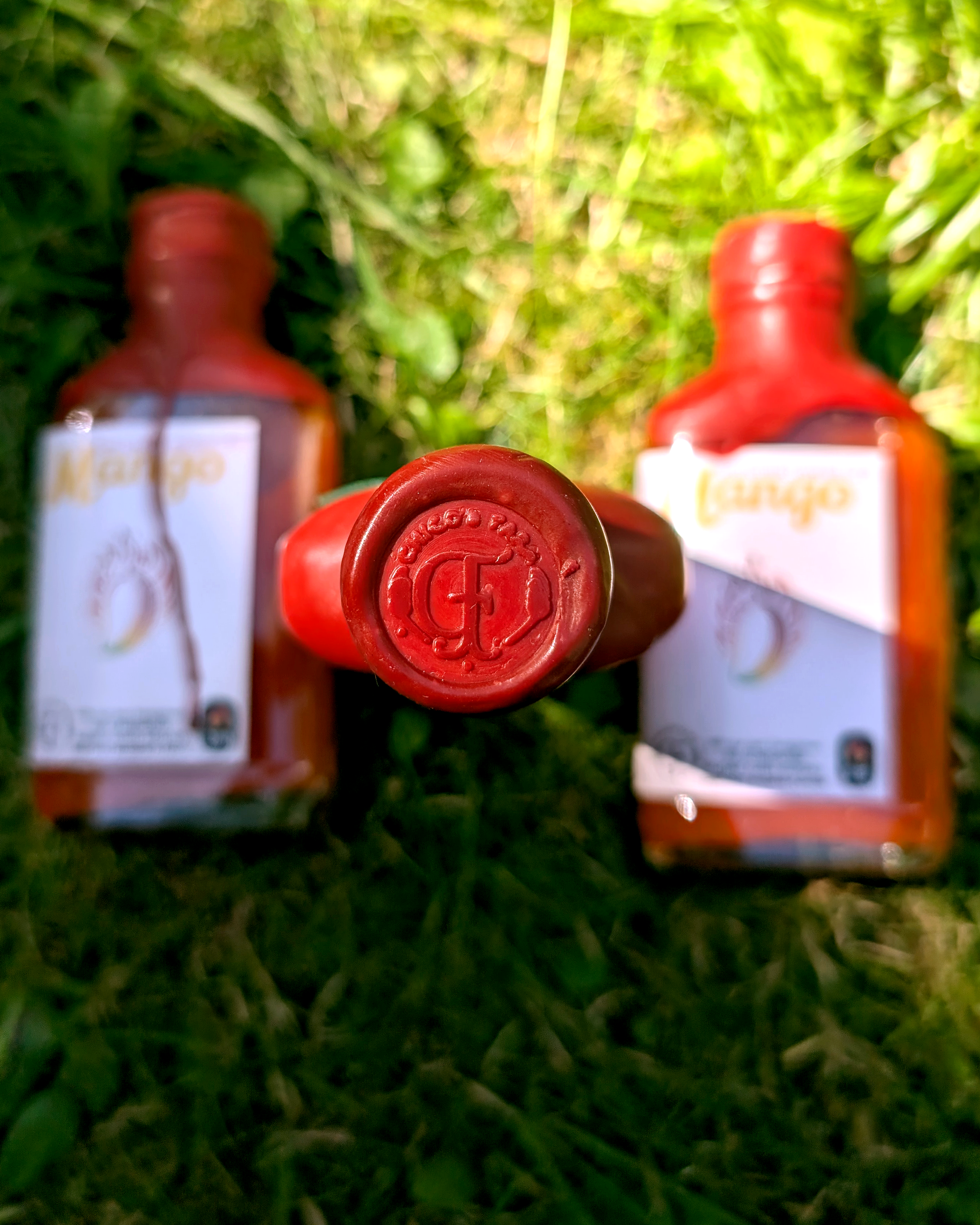 Chico’s Farm Mango Sweet Chili – fermented mango hot sauce bottle on grass