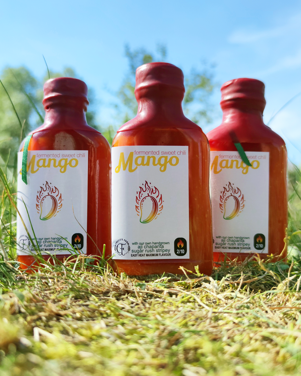 “Mango Sweet Chili sauce – three handcrafted fermented hot sauce bottles by Chico’s Farm Berlin