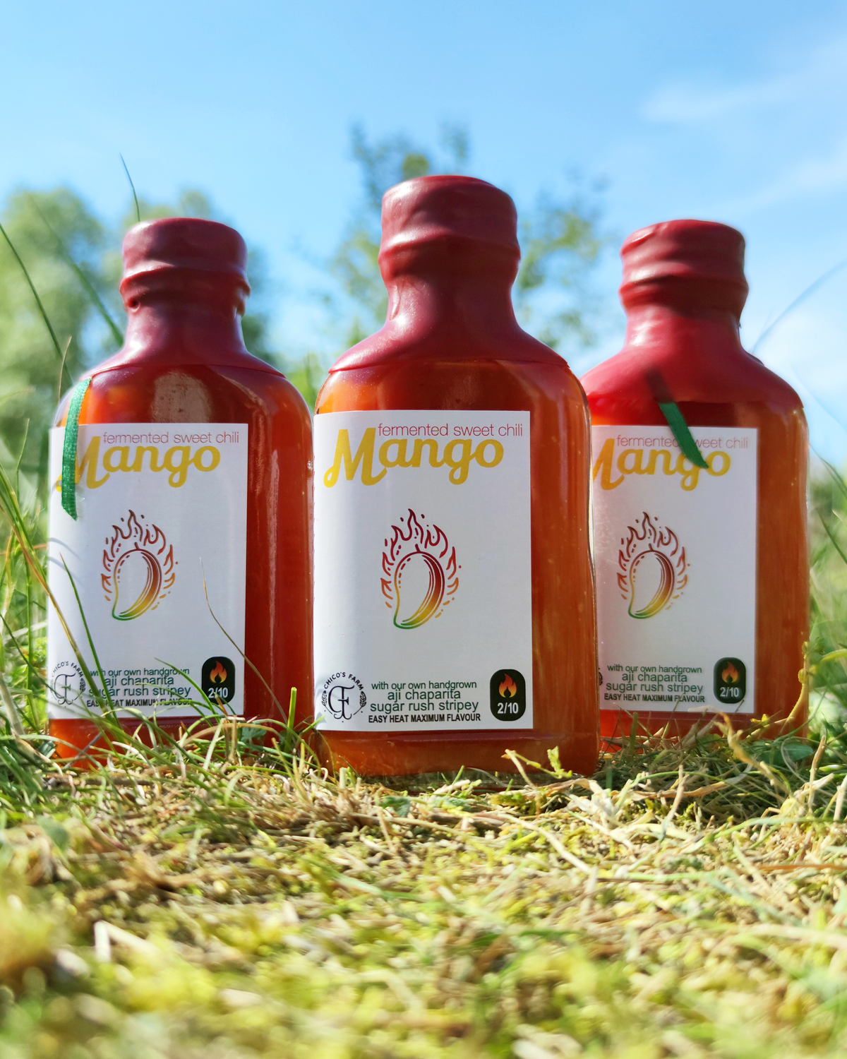 “Mango Sweet Chili sauce – three handcrafted fermented hot sauce bottles by Chico’s Farm Berlin