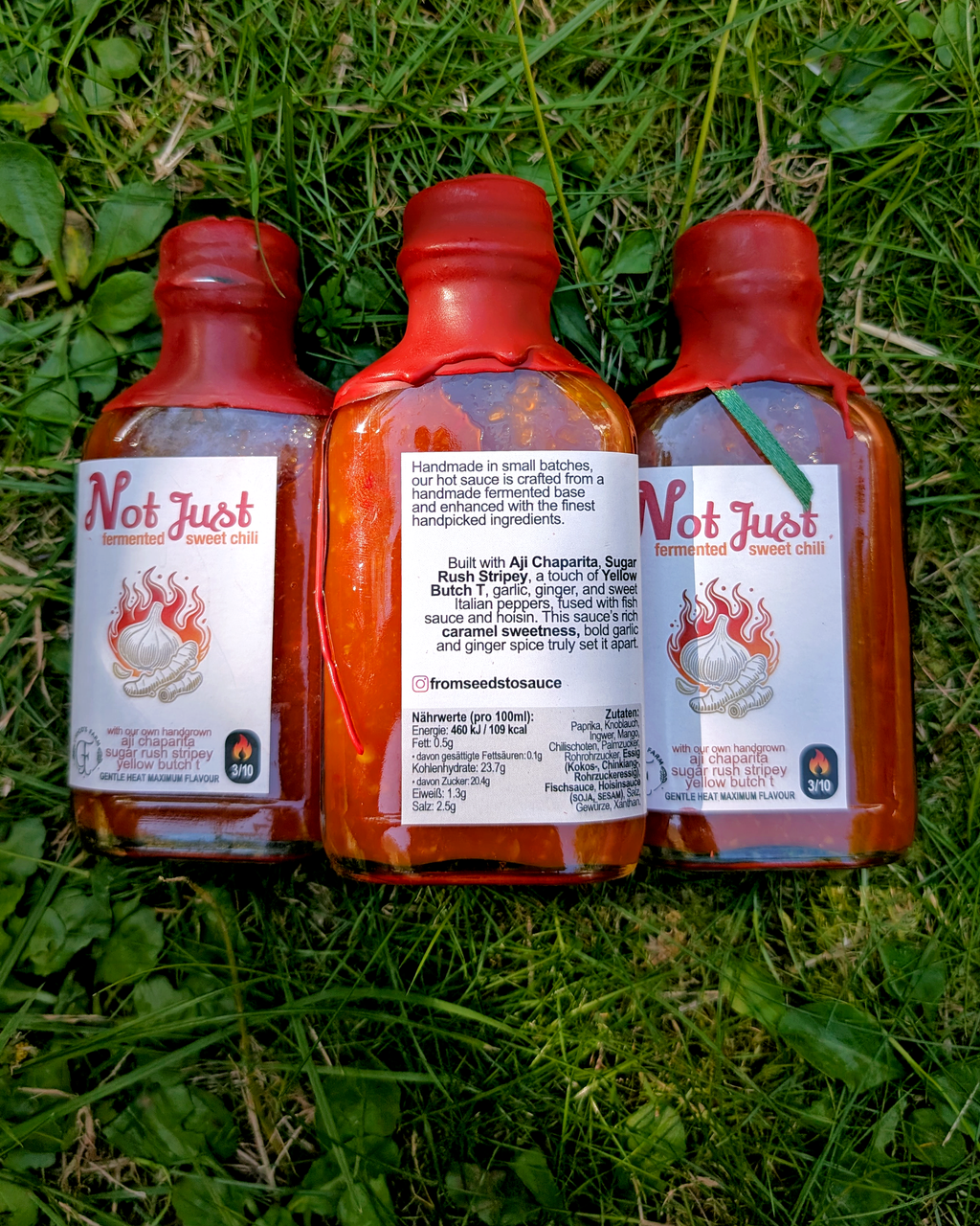 Not Just Sweet Chili hot sauce bottles outdoors – handcrafted fermented sweet chili line-up