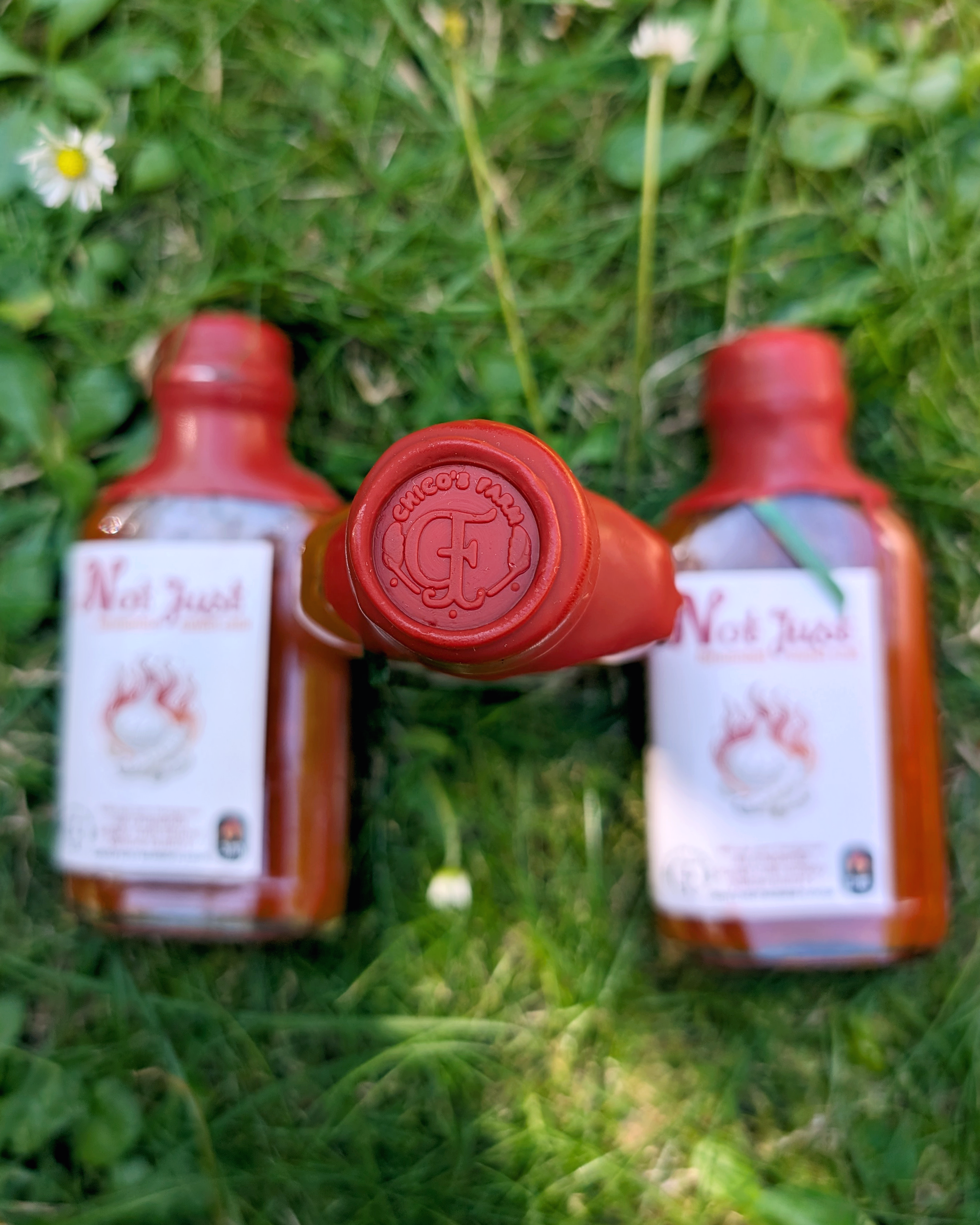 Chico’s Farm Not Just Sweet Chili – wax-sealed fermented chili sauce bottle on grass with Chico’s Farm stam