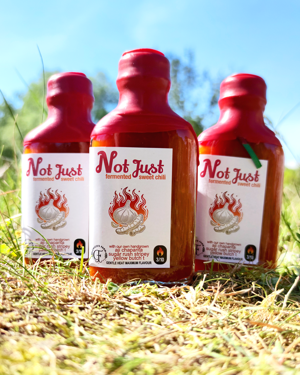Not Just Sweet Chili sauce – three fermented sweet chili bottles by Chico’s Farm Berlin