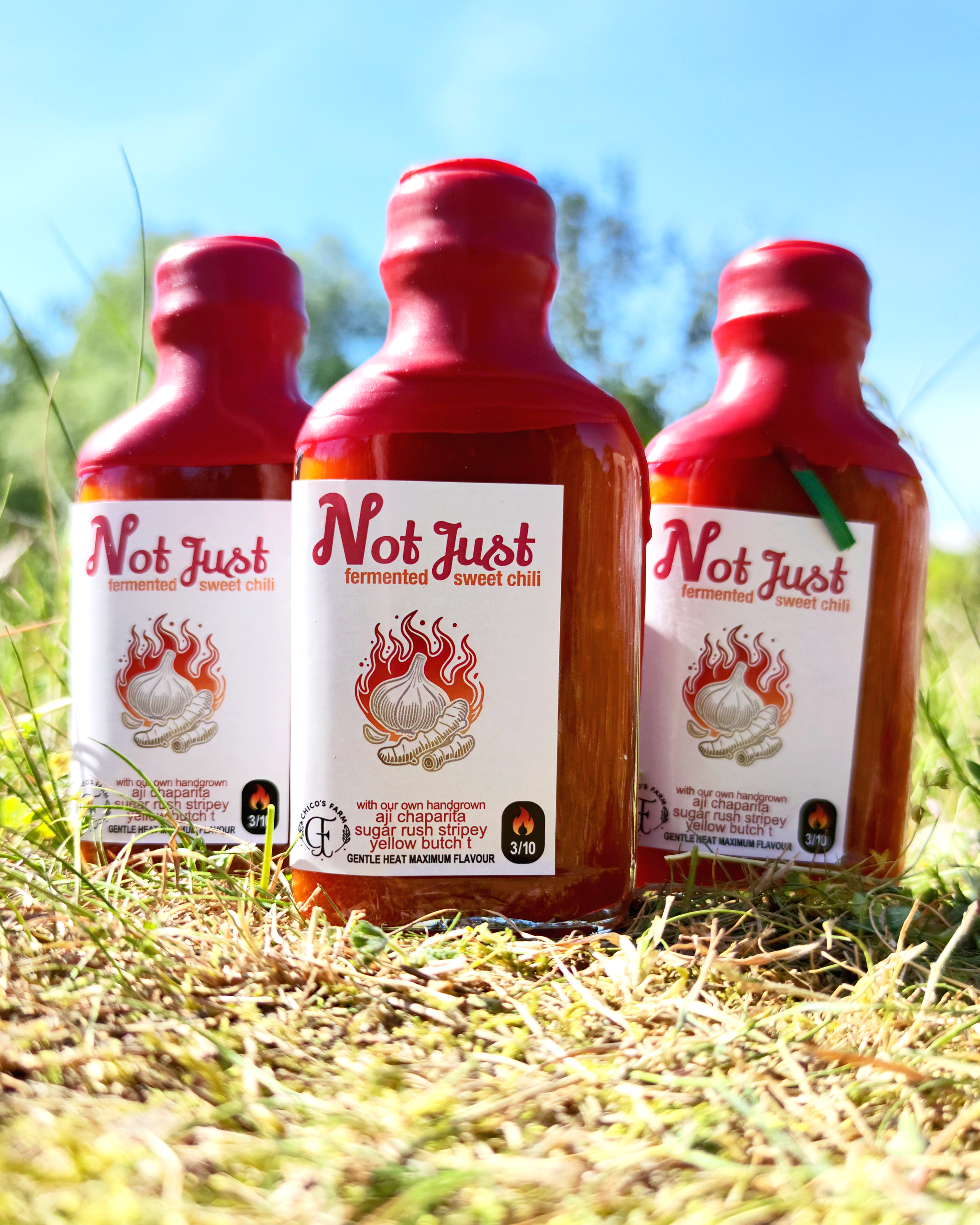 Not Just Sweet Chili sauce – three fermented sweet chili bottles by Chico’s Farm Berlin