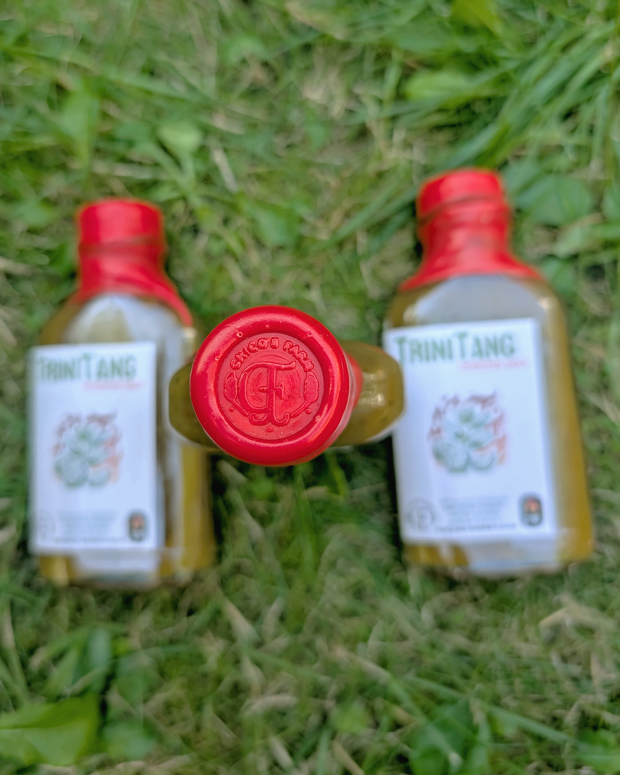 Chico’s Farm TriniTang Mild – wax-sealed fermented citrus herb hot sauce bottle on grass