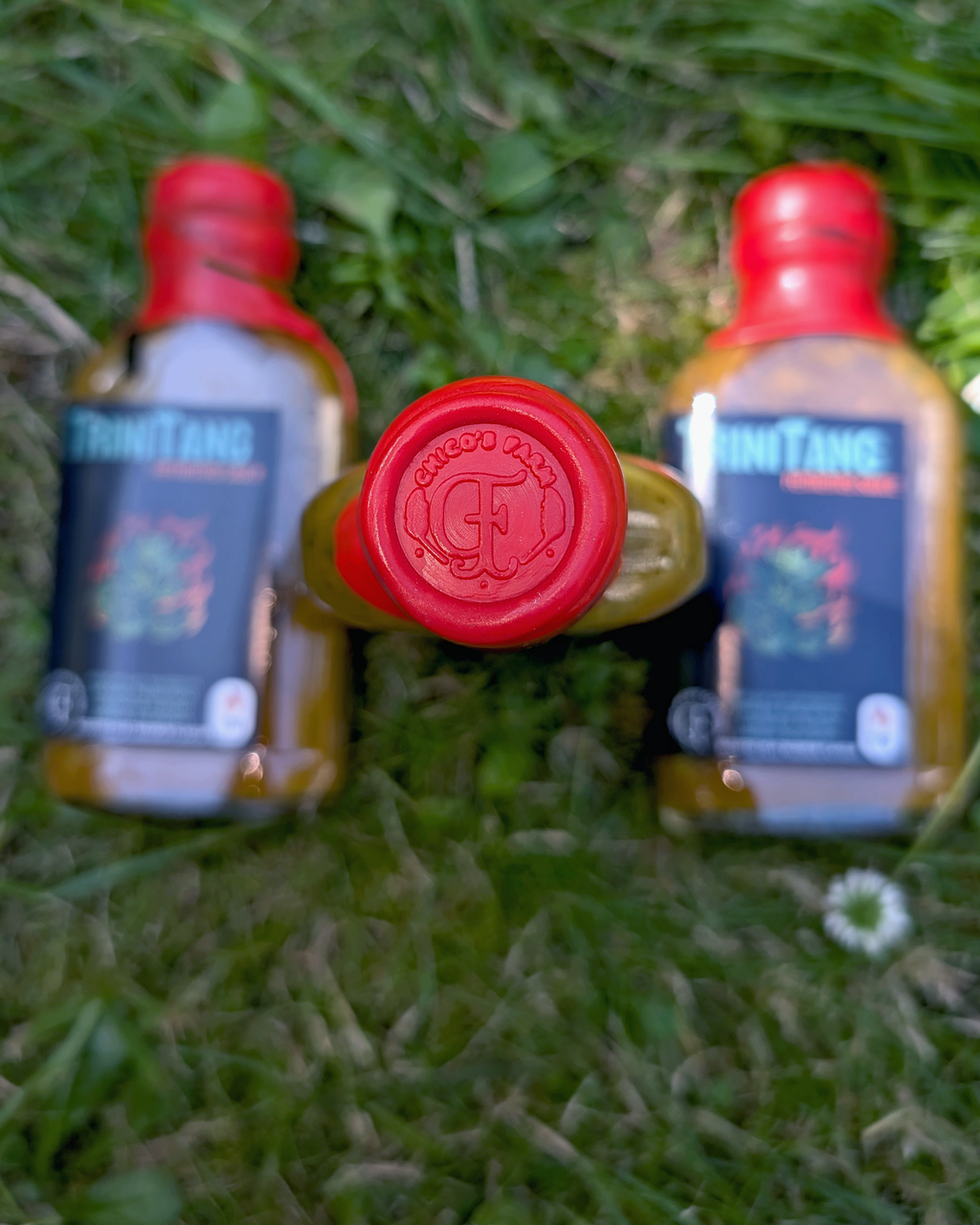 Chico’s Farm TriniTang Hot – wax-sealed fermented citrus herb hot sauce bottle with stamp on grass