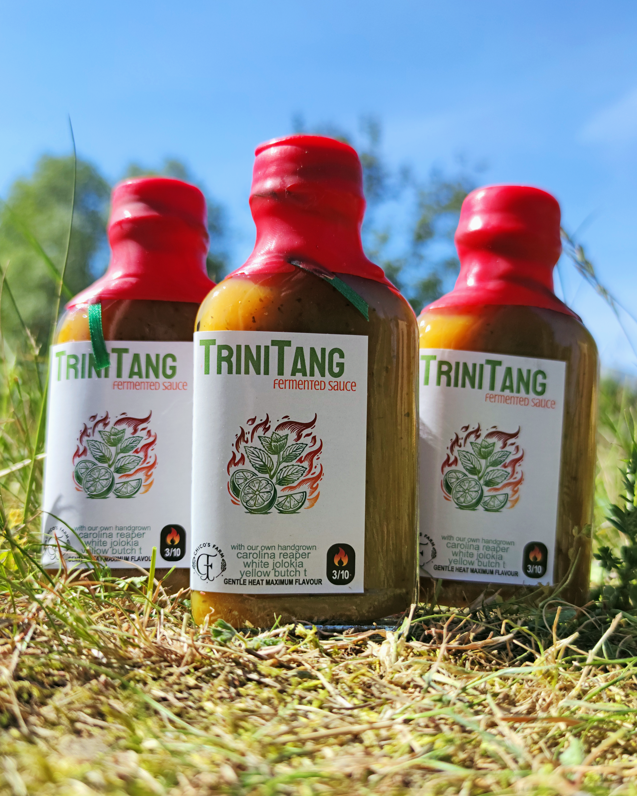 TriniTang Mild – three fermented citrus and herb hot sauce bottles by Chico’s Farm Berlin