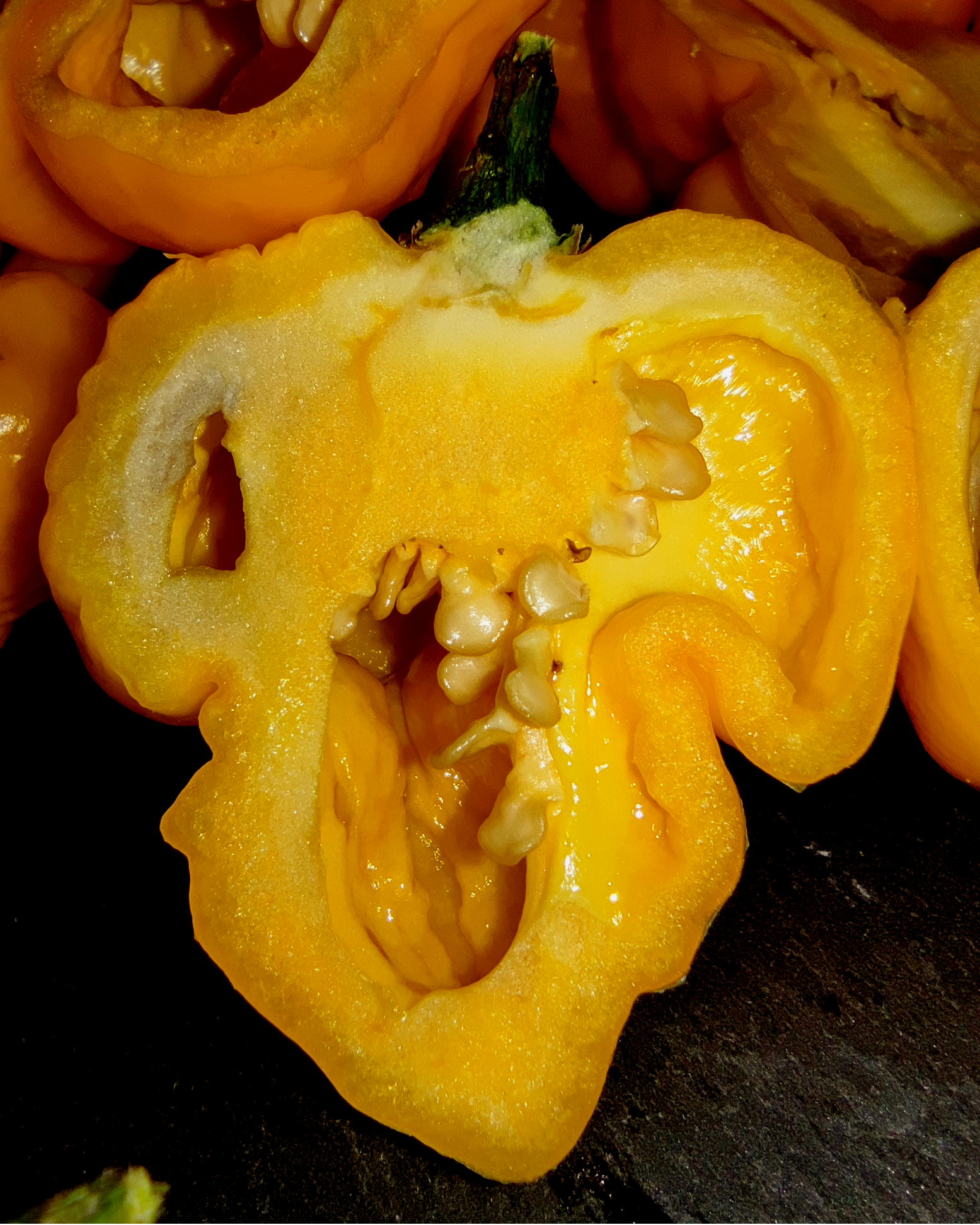 Yellow Scorpion Butch-T pepper cut open – interior and placenta showing seed structure